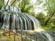 Cascada in padure
