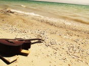 Chitara pe plaja
