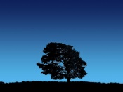Copac singur in noapte
