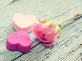 Doua inimi si un trandafir (click to view)