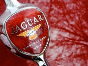 Emblema Jaguar