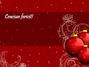 Felicitare Craciun
