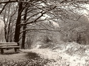 Frig in parc