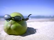 Fruct cu ochelari pe plaja