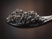 Icre negre