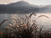 Leman Lake, Montreux (vintage)