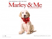 Marley and Me