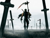 Ninja Gaiden 2 joc