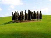Vedere din Tuscany Italia