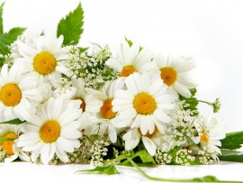 Buchet de flori albe (click to view)