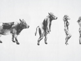 Evolutia vacii (click to view)